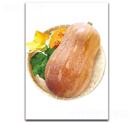 ��������̖-�ϹϷN��-�������r(n��ng)�I(y��)