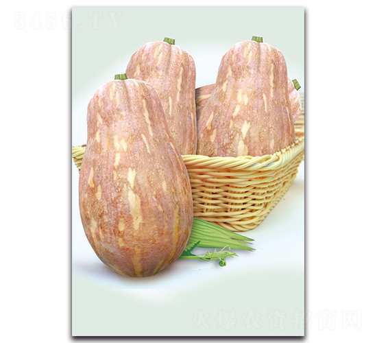 ����һ̖��-�ϹϷN��-�������r(n��ng)�I(y��)