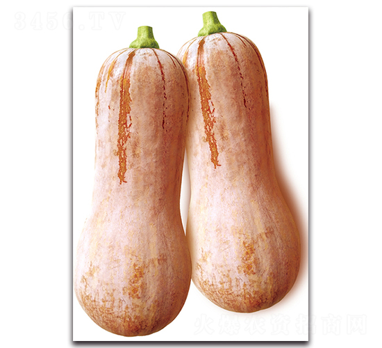 ������-�ϹϷN��-�������r(n��ng)�I(y��)