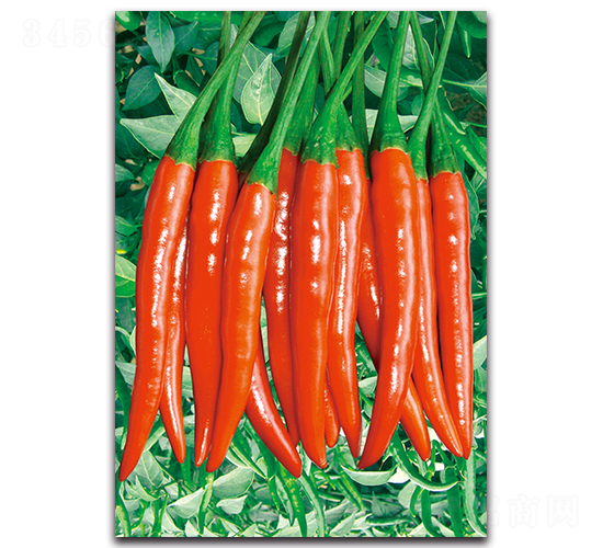 ����-�����N��-�������r(n��ng)�I(y��)