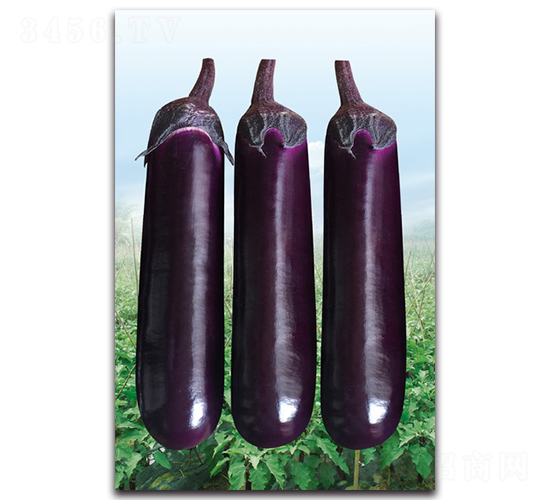 AAA��������-���ӷN��-�������r(n��ng)�I(y��)