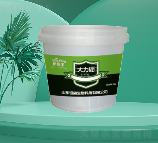 ������-�㶦����