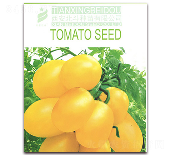 ��������-���ѷN��-����