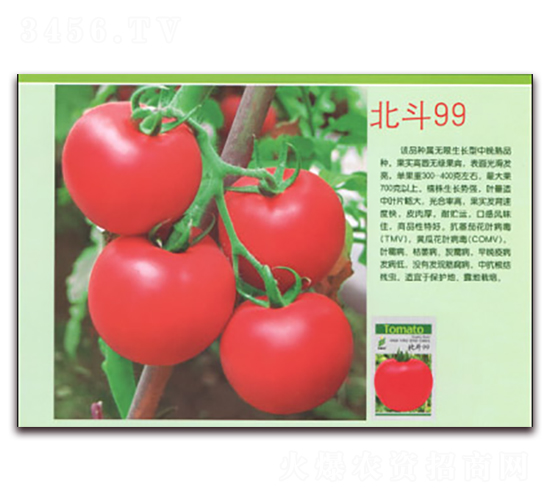 ����99-���ѷN��-����