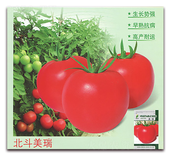 ��������-���ѷN��-����