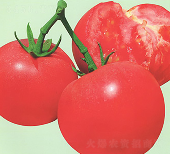 �W��ʥ-���ѷN��-����