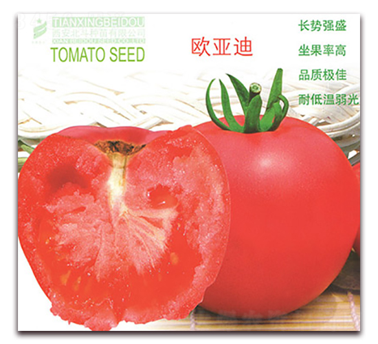 �W����-���ѷN��-����