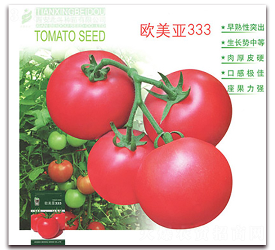 �W����333-���ѷN��-����