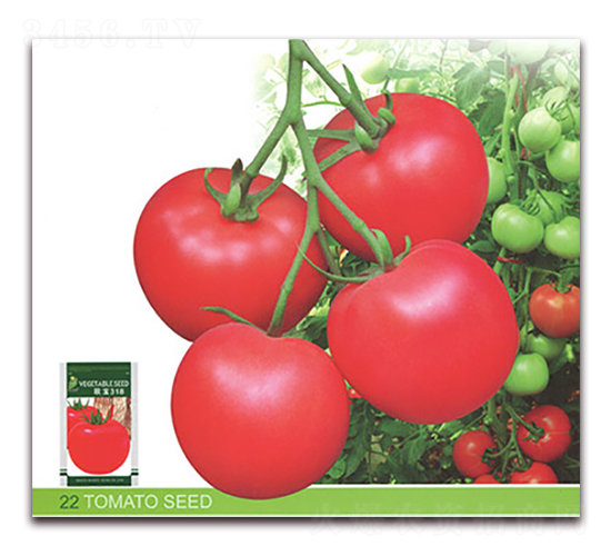 �W��318-���ѷN��-����