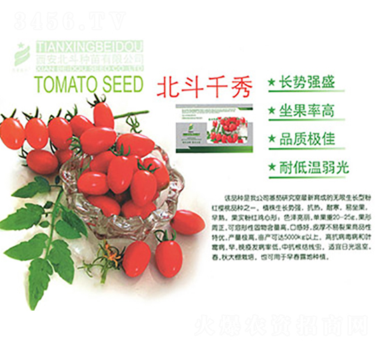 ����ǧ��-���ѷN��-����