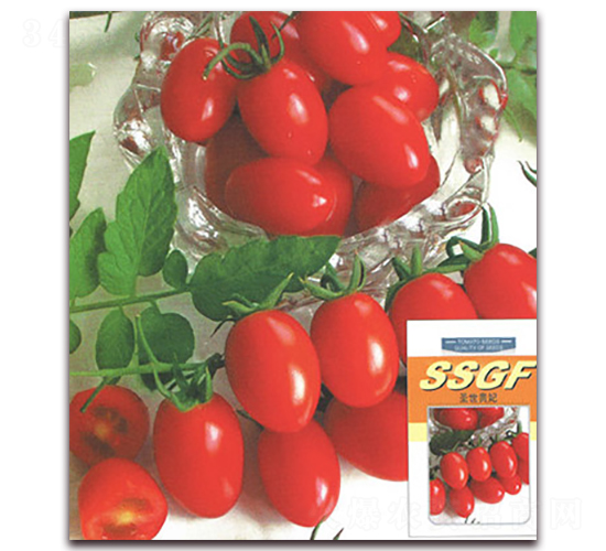 �����F��-���ѷN��-����