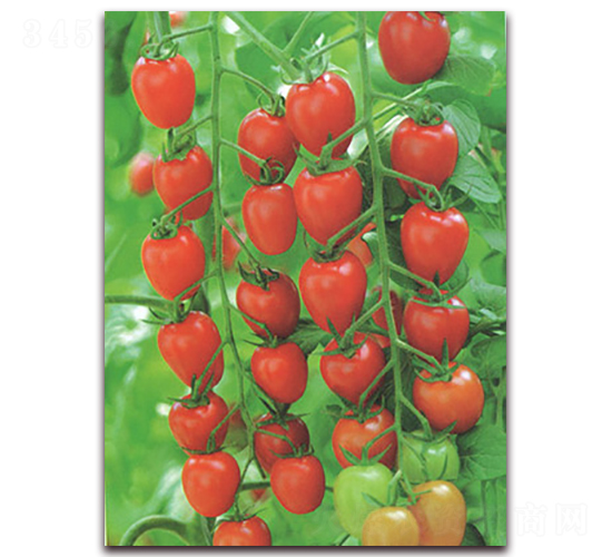 �tõ��-���ѷN��-����