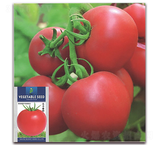 ��������-���ѷN��-����