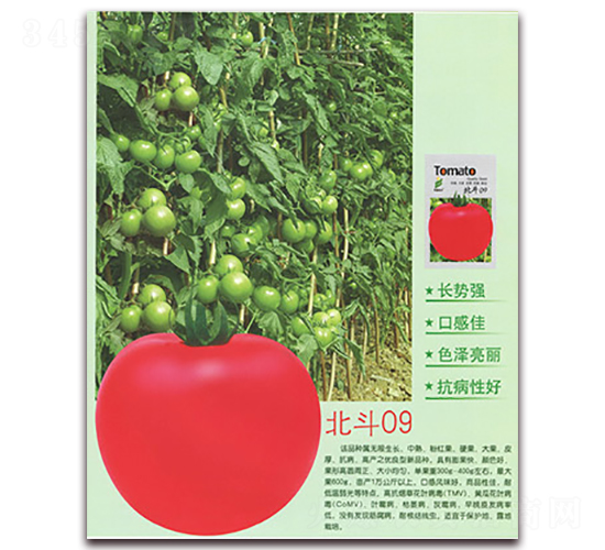 ����09-���ѷN��-����