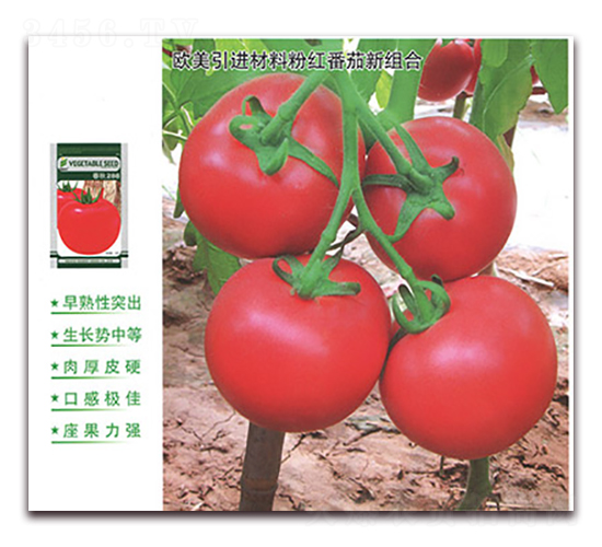 ����288-���ѷN��-����