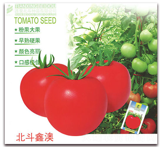 �����ΰ�-���ѷN��-����