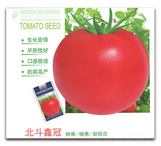 �����ι�-���ѷN��-����