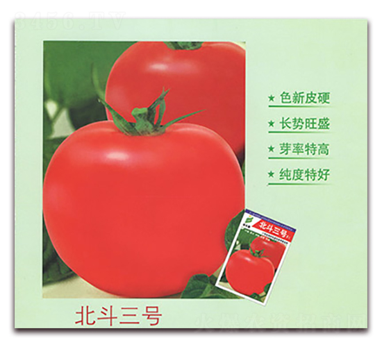 ������̖-���ѷN��-����