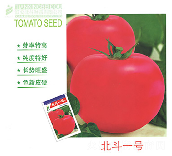 ����һ̖(h��o)-���ѷN��-����