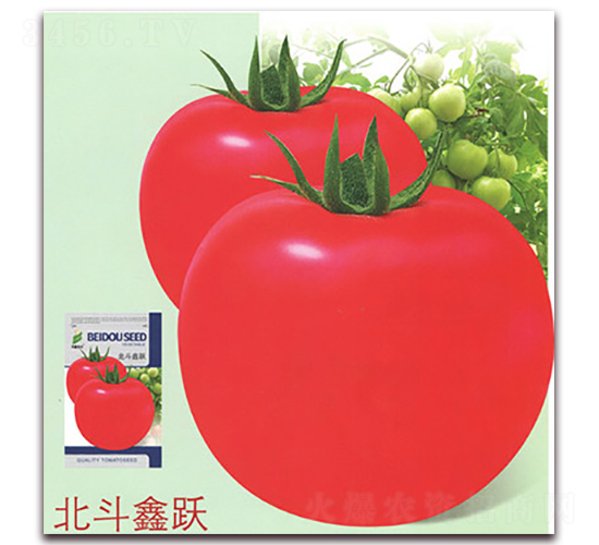 �������S-���ѷN��-����