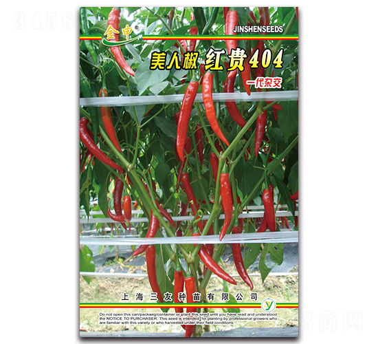 �t�F404-�����N��-����