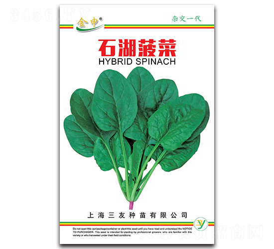 ʯ������-���˷N��-����