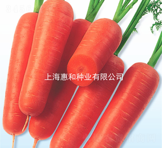 ����-���}���N��-�ݺͷN�I(y��)