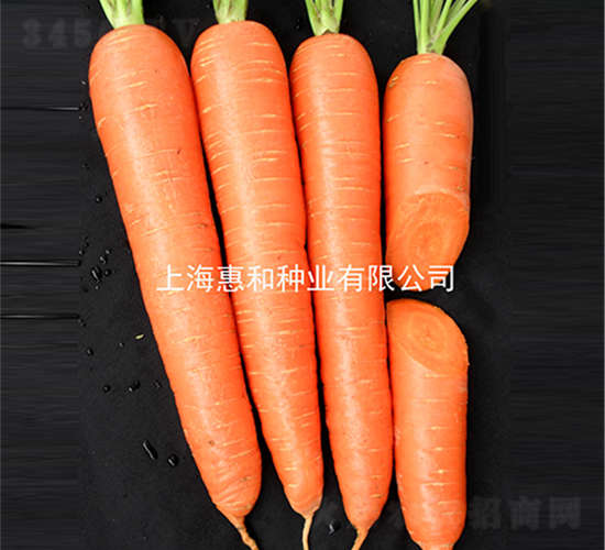 ϲ�S��̖-���}���N��-�ݺͷN�I(y��)