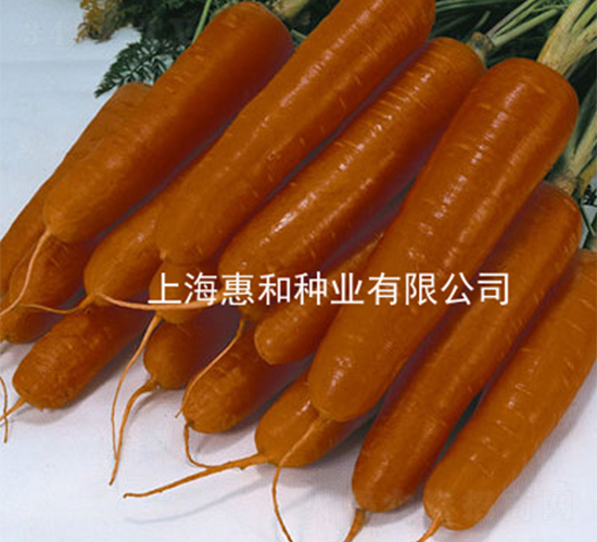 �tʥ��̖(h��o)-���}���N��-�ݺͷN�I(y��)