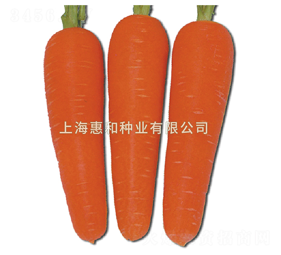 �t��238-���}���N��-�ݺͷN�I(y��)