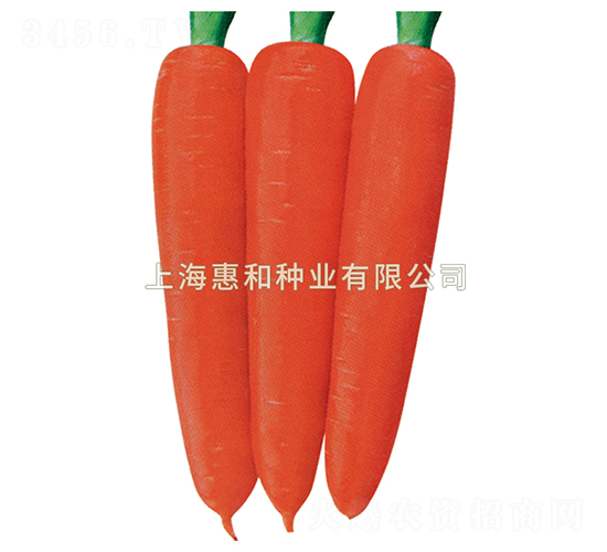 �tʥ��̖-���}���N��-�ݺͷN�I(y��)