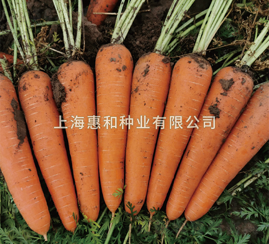 ���ρ�907-���}���N��-�ݺͷN�I(y��)