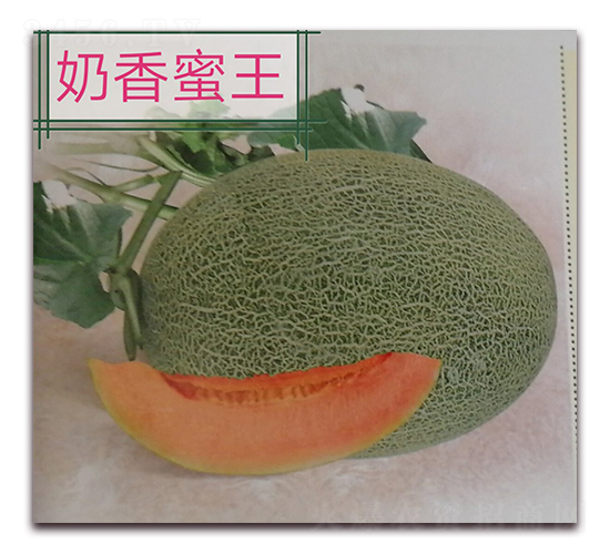 ��������-��ϷN��-����N�I(y��)