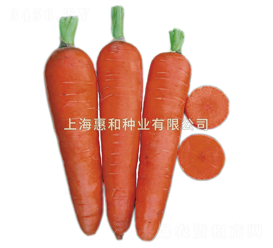 ����˹-���}���N��-�ݺͷN�I(y��)