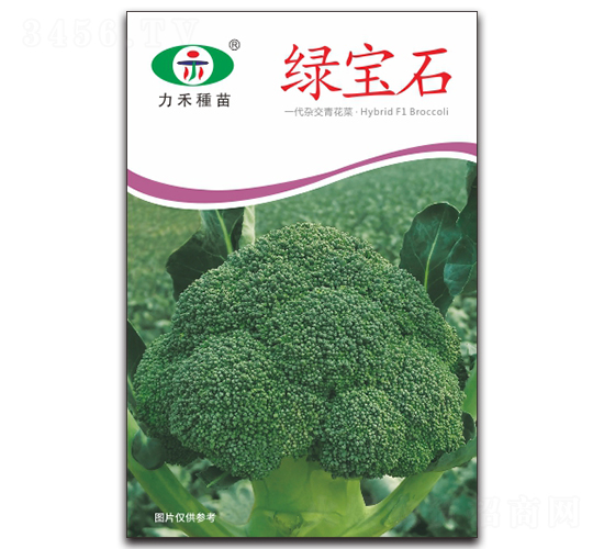 �G��ʯ-���m���N��-�����r(n��ng)�I(y��)