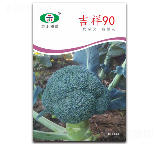 ����90-���m���N��-�����r(n��ng)�I(y��)