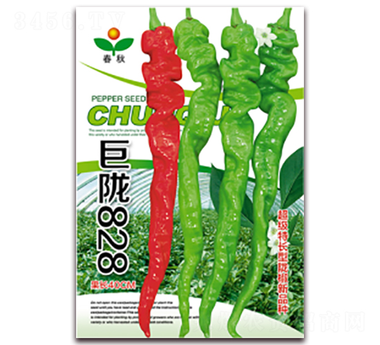 ���]828-�����N��-����N�I(y��)