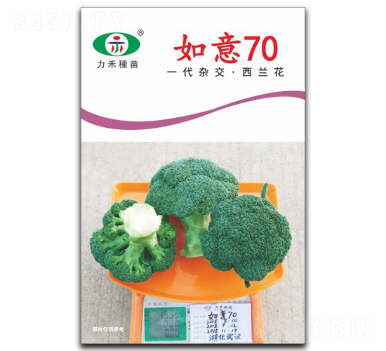 ����70-���m���N��-�����r(n��ng)�I(y��)