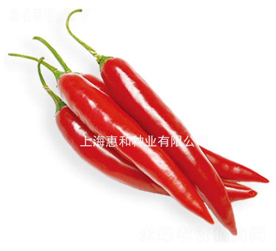 ����-�����N��-�ݺͷN�I(y��)