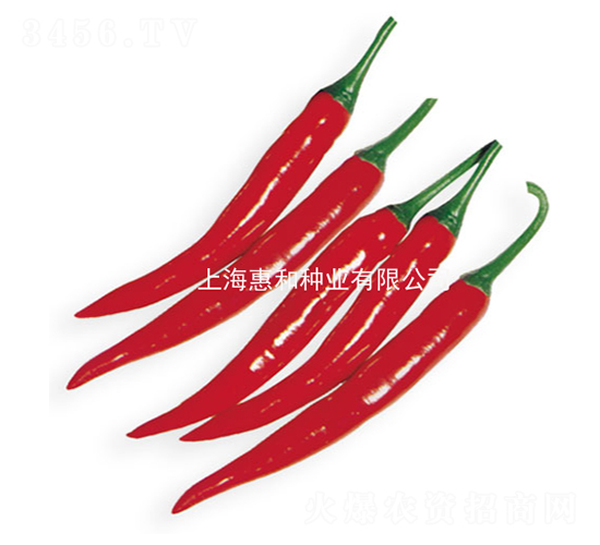 �t��-�����N��-�ݺͷN�I(y��)