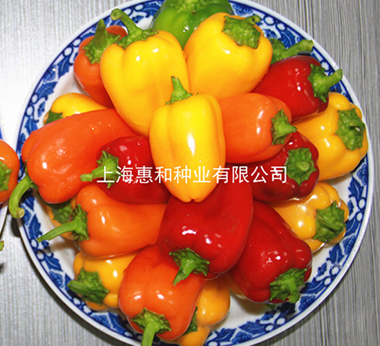 ����t-�𽷷N��-�ݺͷN�I(y��)