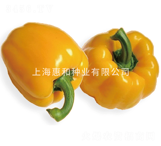 �P����̖-�𽷷N��-�ݺͷN�I(y��)