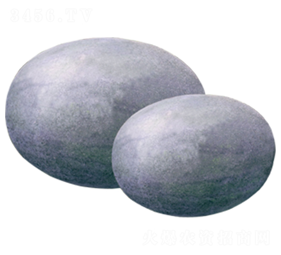 ����-���ϷN��-ɽ�|��Դ