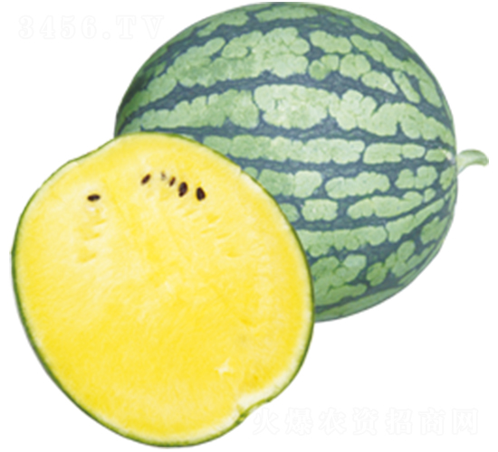 ����-���ϷN��-ɽ�|��Դ