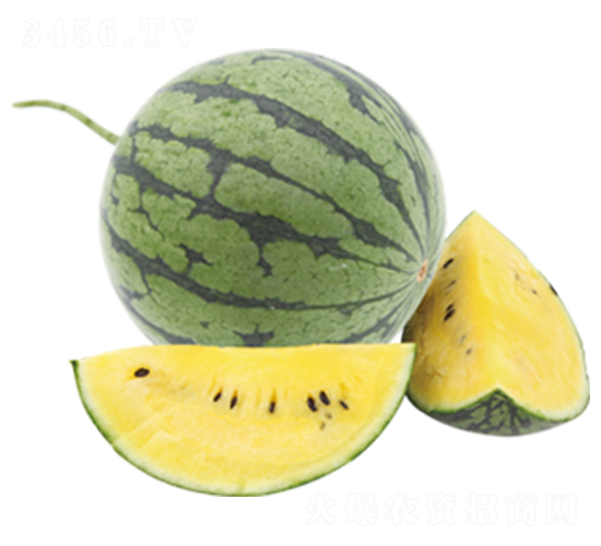 �G�P��-���ϷN��-ɽ�|��Դ