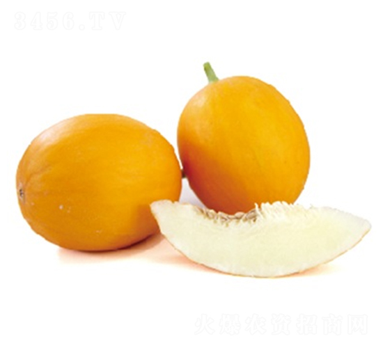 ���L��̖-��ϷN��-ɽ�|��Դ