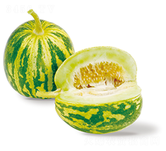 ���ٶ�̖(h��o)-��ϷN��-ɽ�|��Դ