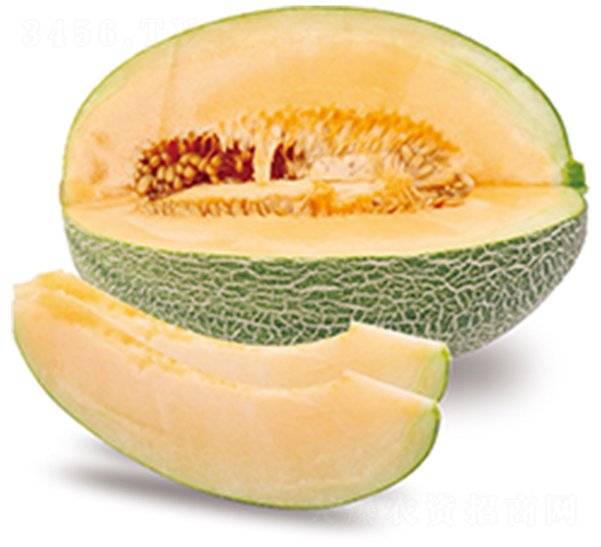 ����2̖-��ϷN��-ɽ�|��Դ