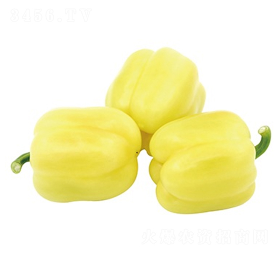 ����-�����N��-ɽ�|��Դ