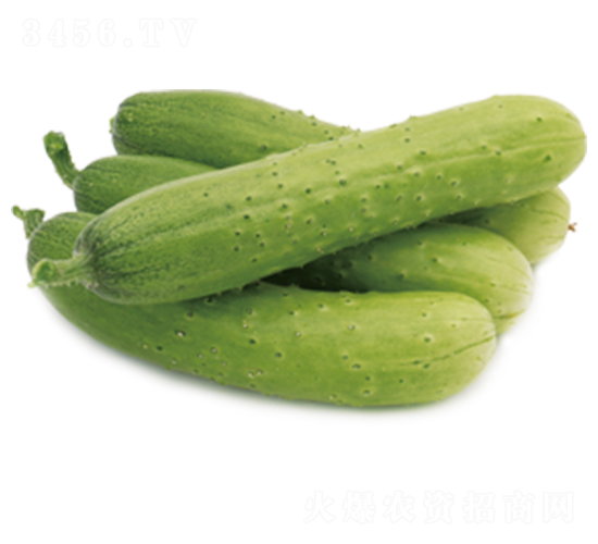 �G��2̖(h��o)-�S�ϷN��-ɽ�|��Դ